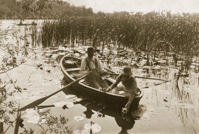 Recogiendo los nenúfares, 1886 de Peter Emerson und Thomas Goodall